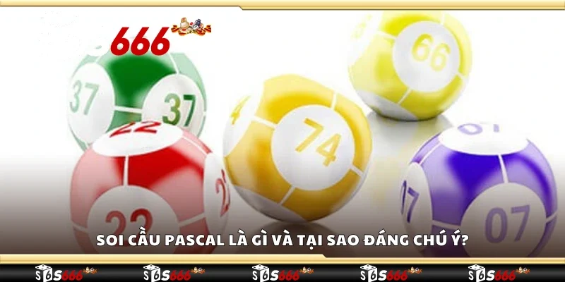 Soi cầu Pascal là gì và tại sao đáng chú ý?