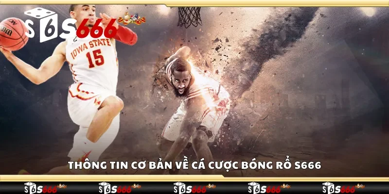 Thông tin cơ bản về cá cược bóng rổ S666