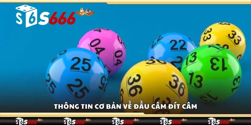 Thông tin cơ bản về đầu câm đít câm