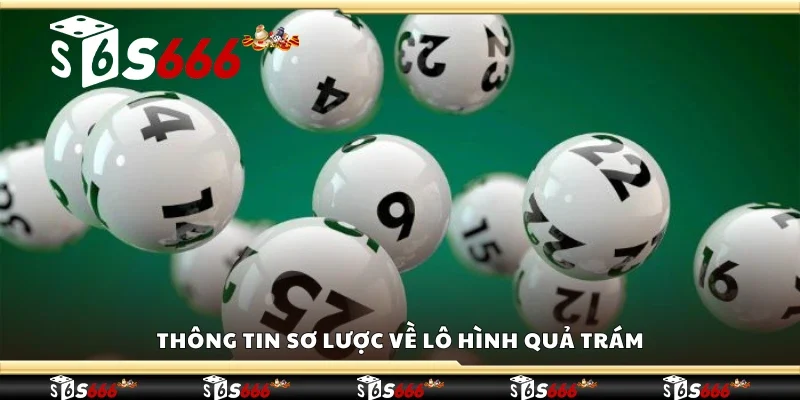 Thông tin sơ lược về lô hình quả trám