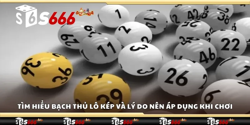 Tìm hiểu bạch thủ lô kép và lý do nên áp dụng khi chơi