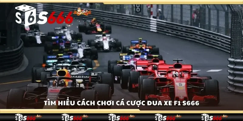 Tìm hiểu cách chơi cá cược đua xe F1 S666