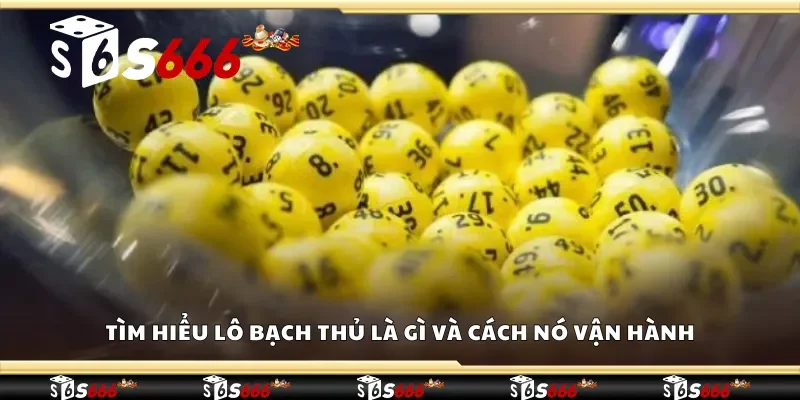 Tìm hiểu lô bạch thủ là gì và cách nó vận hành