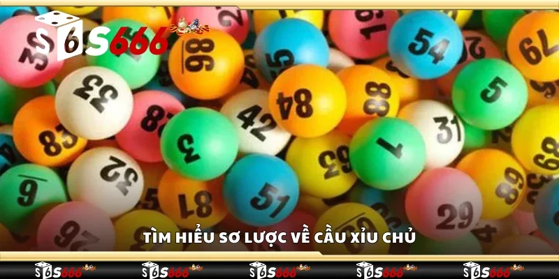 Tìm hiểu sơ lược về cầu xỉu chủ