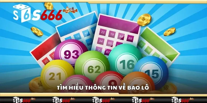 Tìm hiểu thông tin về bao lô