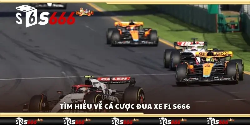 Tìm hiểu về cá cược đua xe F1 S666