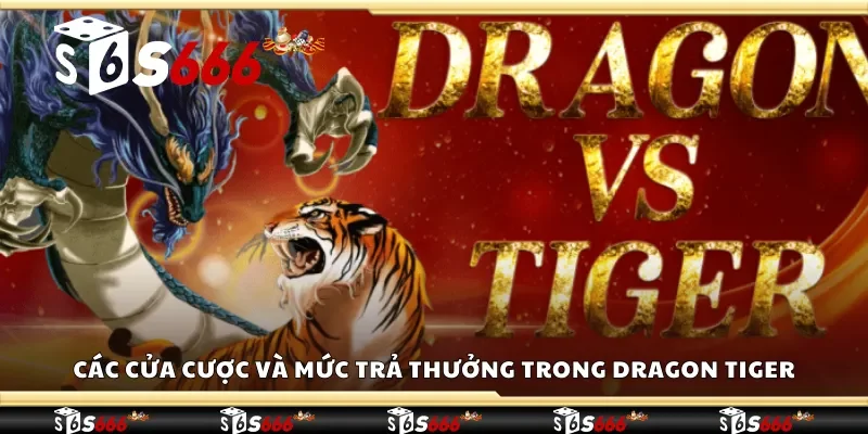 Tìm hiểu về các cửa cược và mức trả thưởng trong Dragon Tiger