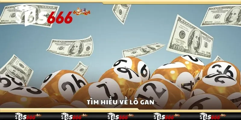 Tìm hiểu về lô gan