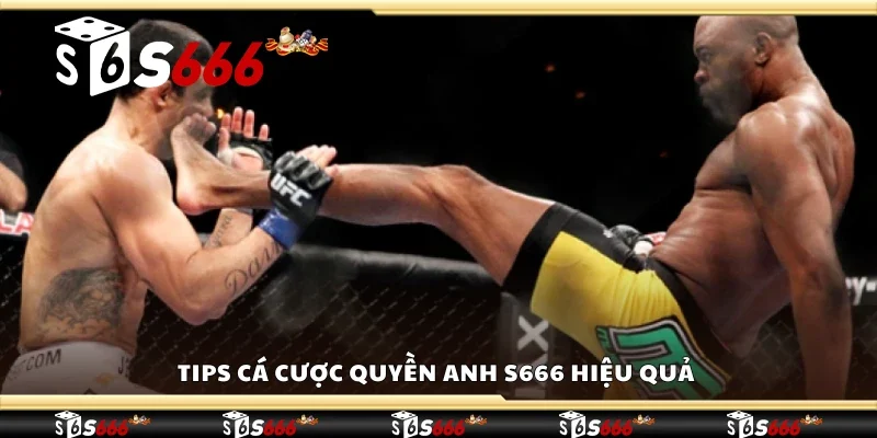 Tips cá cược quyền anh S666 hiệu quả 