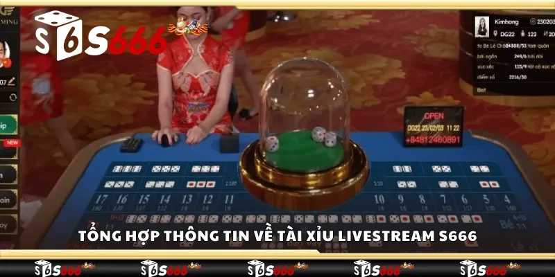 Tổng hợp thông tin về tài xỉu livestream S666