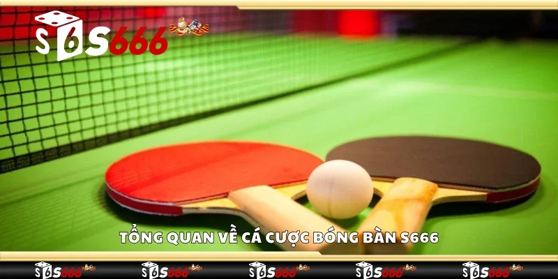 Tổng quan về cá cược bóng bàn S666
