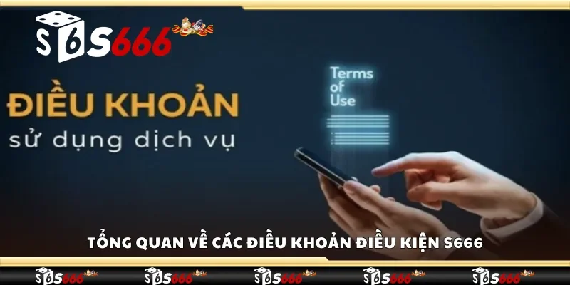 Tổng quan về các điều khoản điều kiện S666
