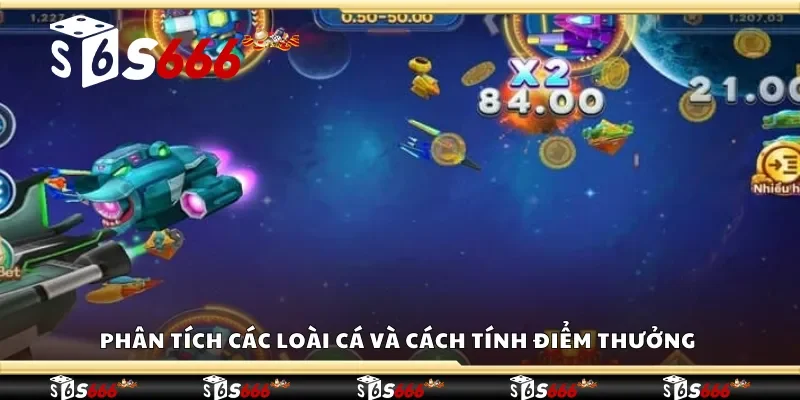 Phân tích các loài cá và cách tính điểm thưởng trong bắn cá vũ trụ 